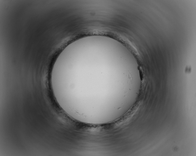 X0000102490306200809051328