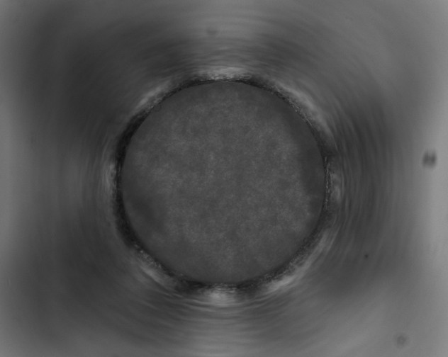 X0000102490308200809051328