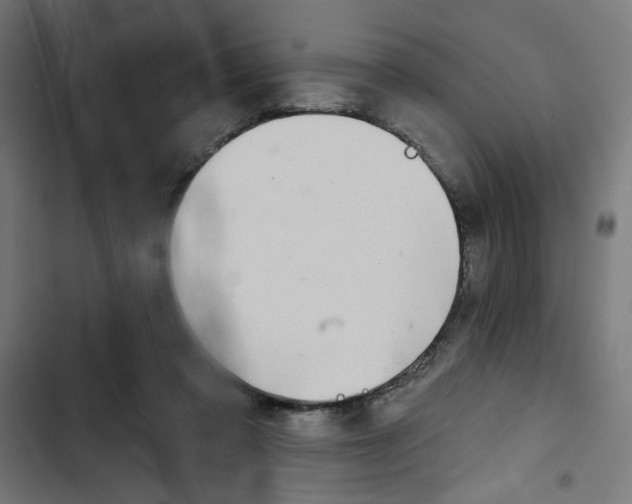 X0000102490309200809051328