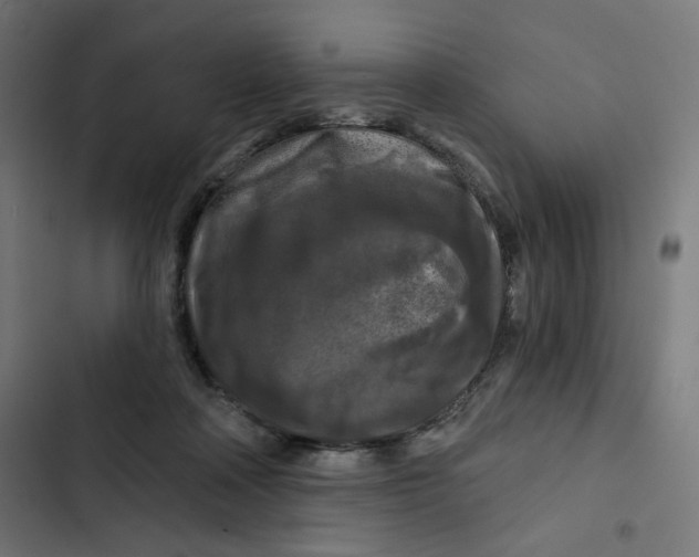 X0000102490314200809051328