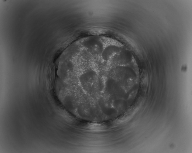 X0000102490315200809051328