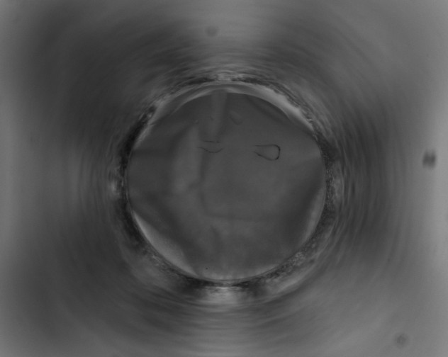 X0000102490316200809051328