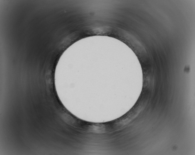 X0000102490317200809051328