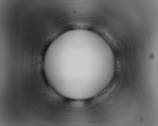 X0000102490318200809051328