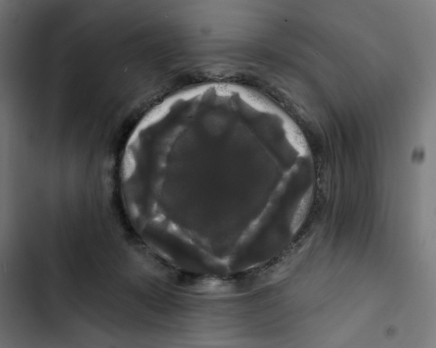 X0000102490319200809051328