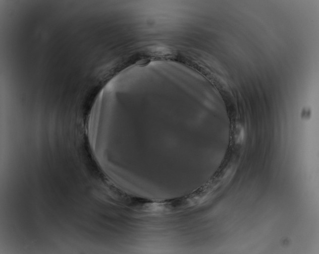 X0000102490320200809051328