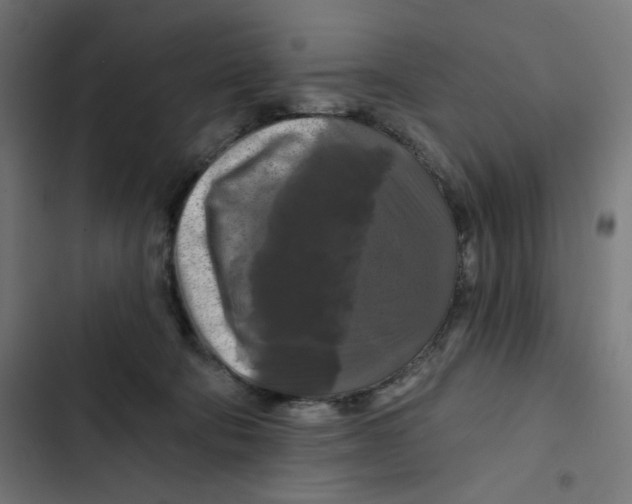 X0000102490322200809051328