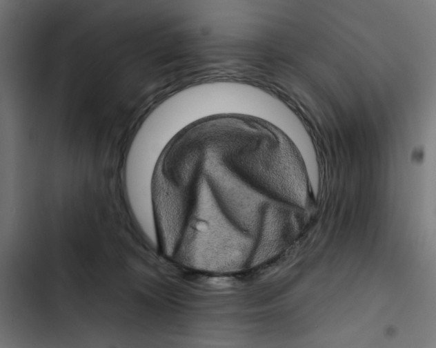 X0000102490324200809051328