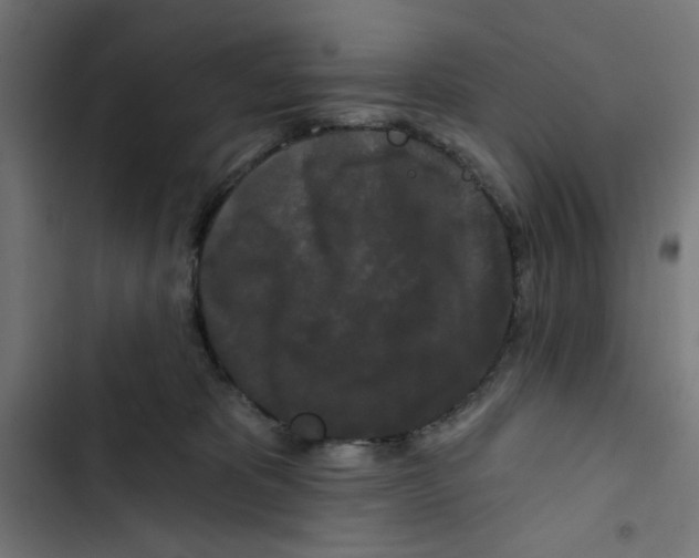 X0000102490325200809051328