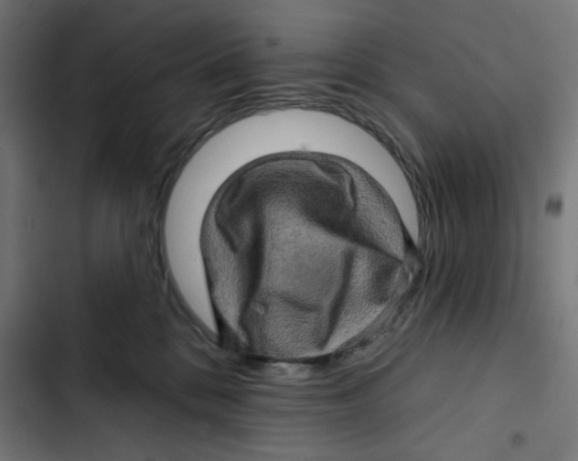 X0000102490328200809051328