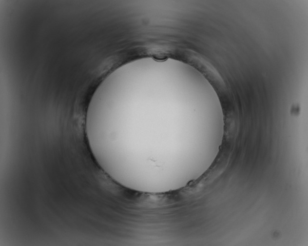 X0000102490329200809051328