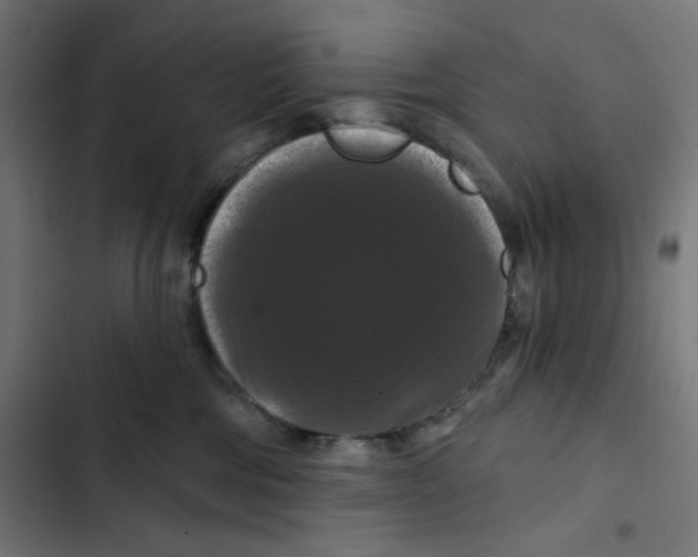 X0000102490330200809051328