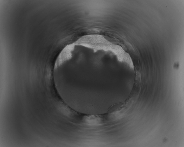 X0000102490331200809051328