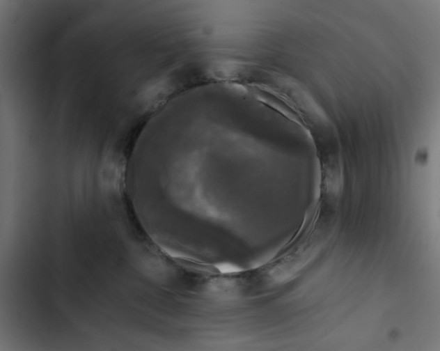 X0000102490332200809051328