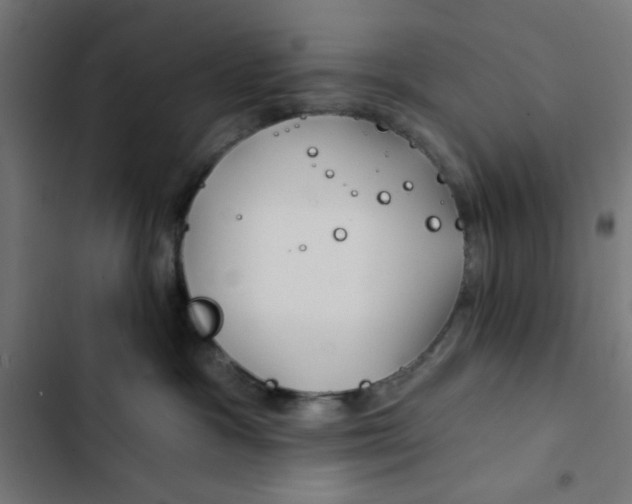 X0000102490333200809051328