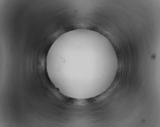 X0000102490334200809051328