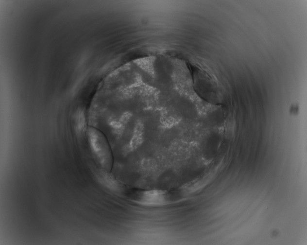 X0000102490335200809051328