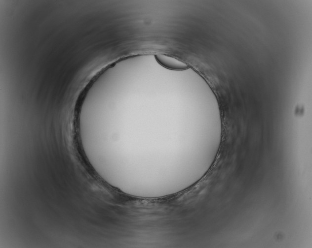 X0000102490338200809051327