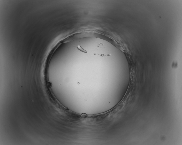 X0000102490340200809051327