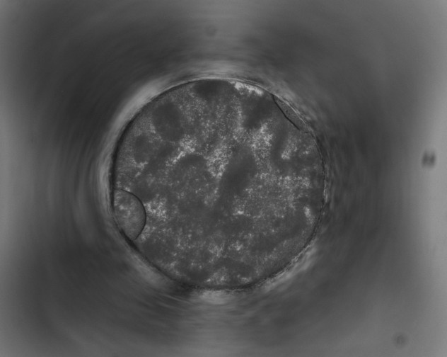 X0000102490341200809051327