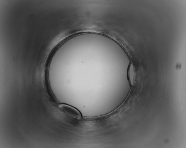 X0000102490344200809051327