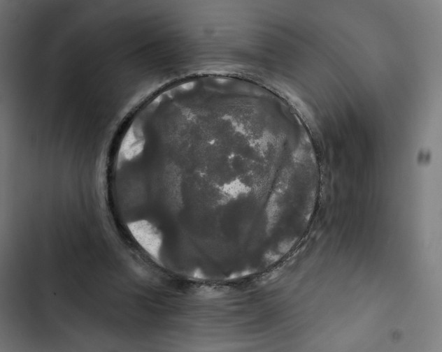 X0000102490346200809051327