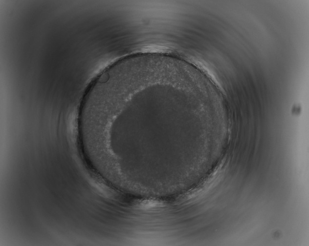 X0000102490348200809051327