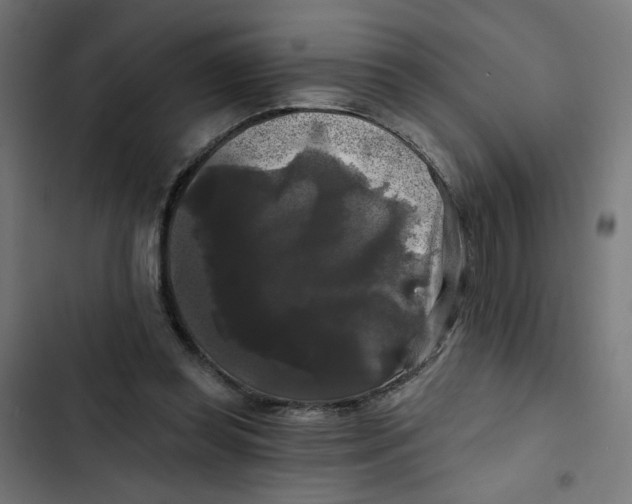 X0000102490349200809051327