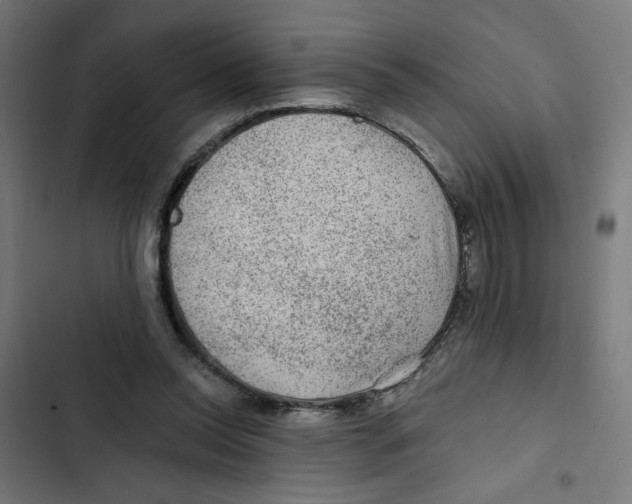 X0000102490350200809051327