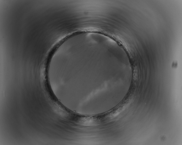 X0000102490351200809051327