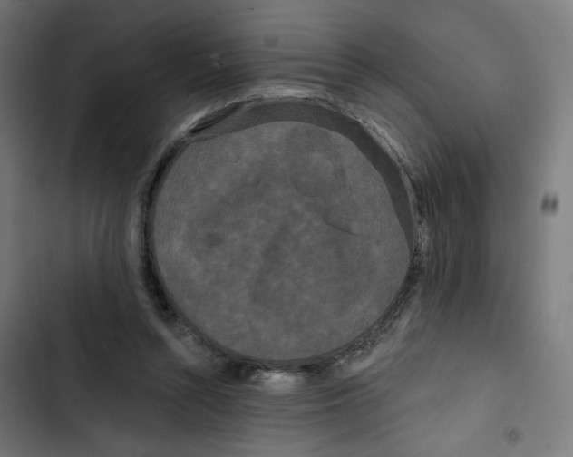 X0000102490352200809051327