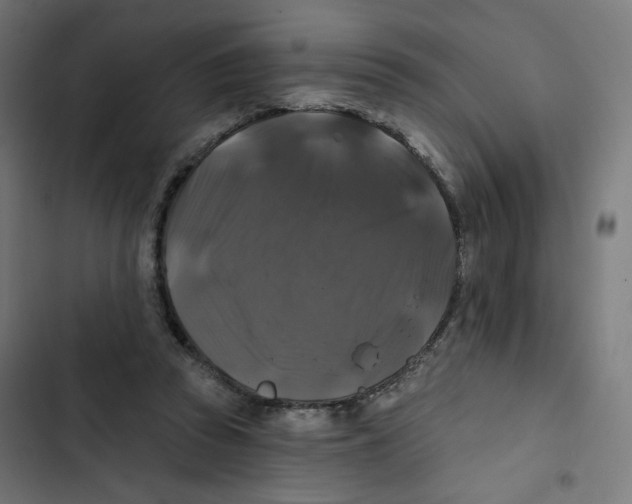 X0000102490353200809051327