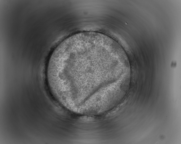 X0000102490354200809051327