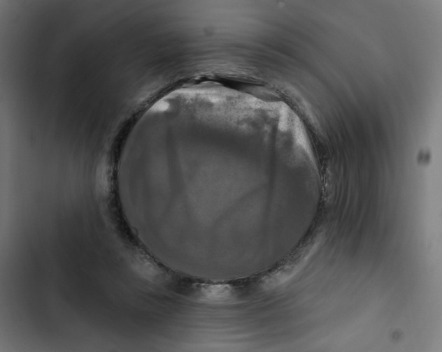 X0000102490355200809051327