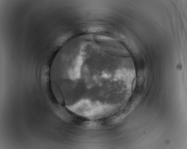 X0000102490356200809051327