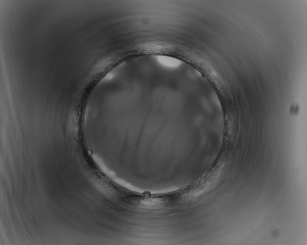 X0000102490357200809051327