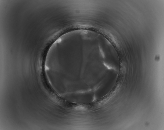 X0000102490358200809051327