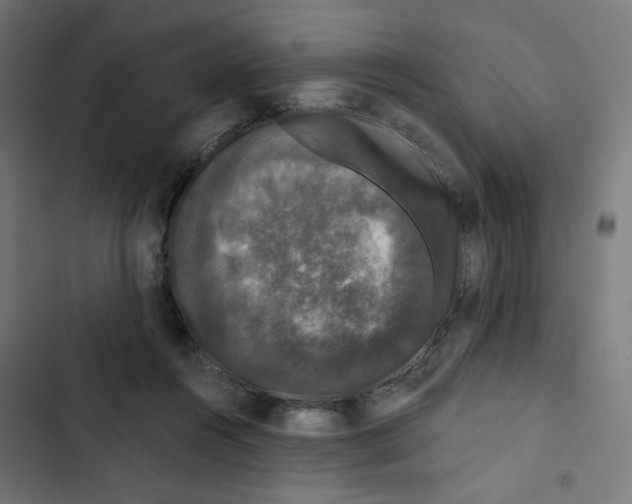 X0000102490360200809051327