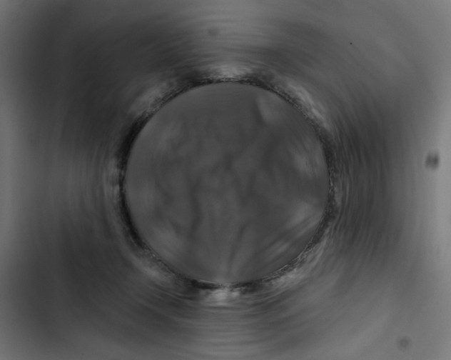 X0000102490366200809051327