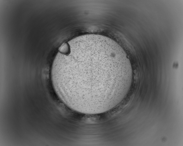 X0000102490368200809051327