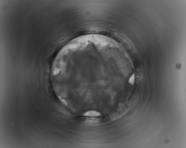 X0000102490369200809051327