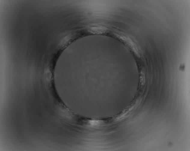 X0000102490371200809051328