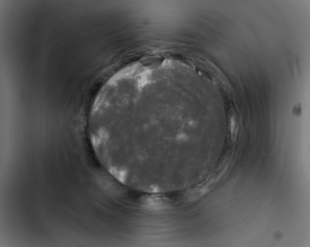 X0000102490372200809051328