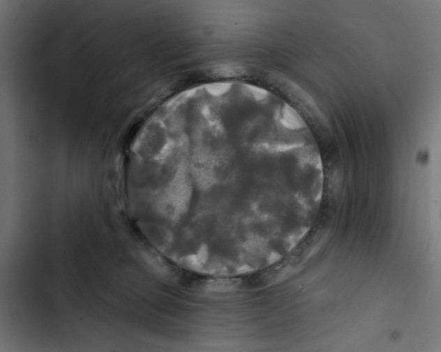 X0000102490373200809051328