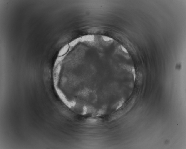 X0000102490375200809051328