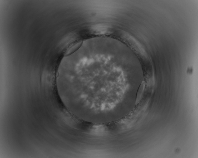 X0000102490376200809051328