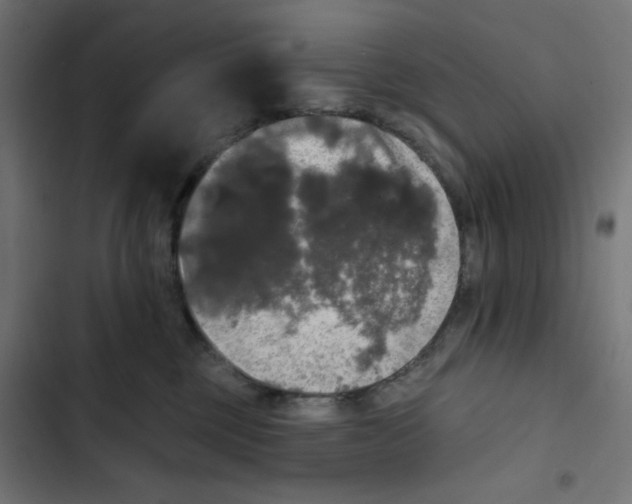 X0000102490377200809051328