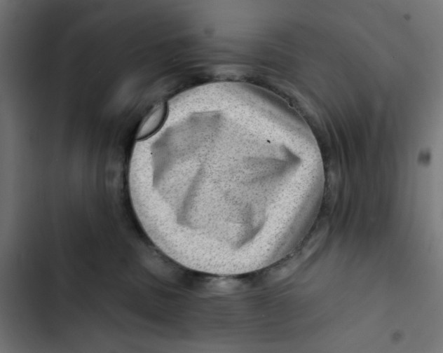 X0000102490379200809051328