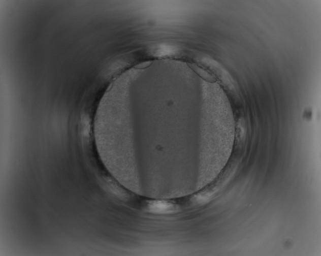 X0000102490380200809051328