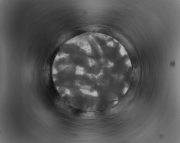 X0000102490381200809051328